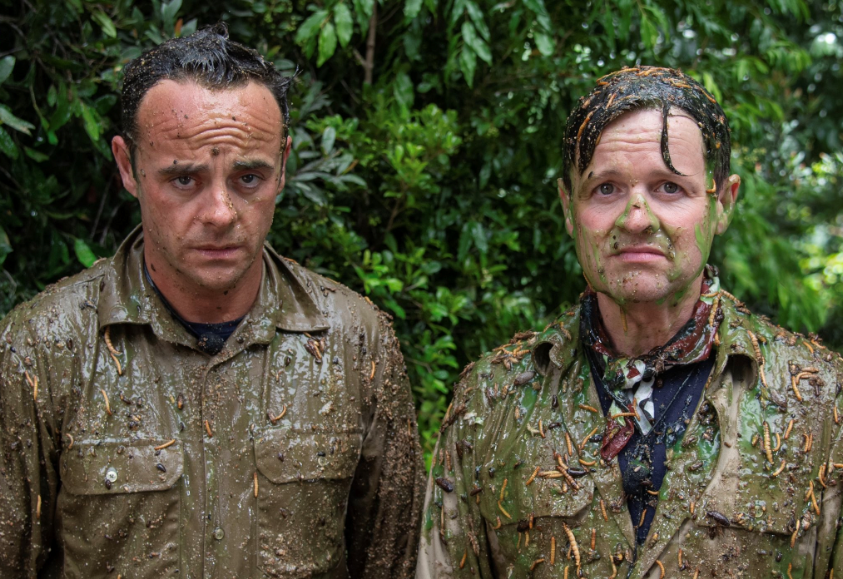 Ant and Dec after completing their first-ever I'm A Celebrity bushtucker trial